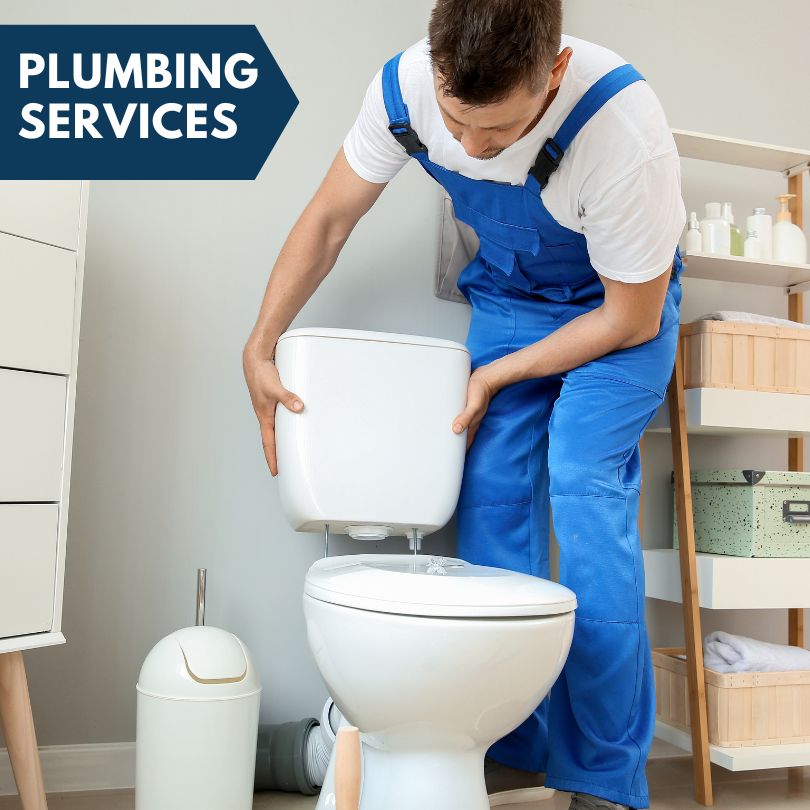 Plumbing Company in Ely, IA